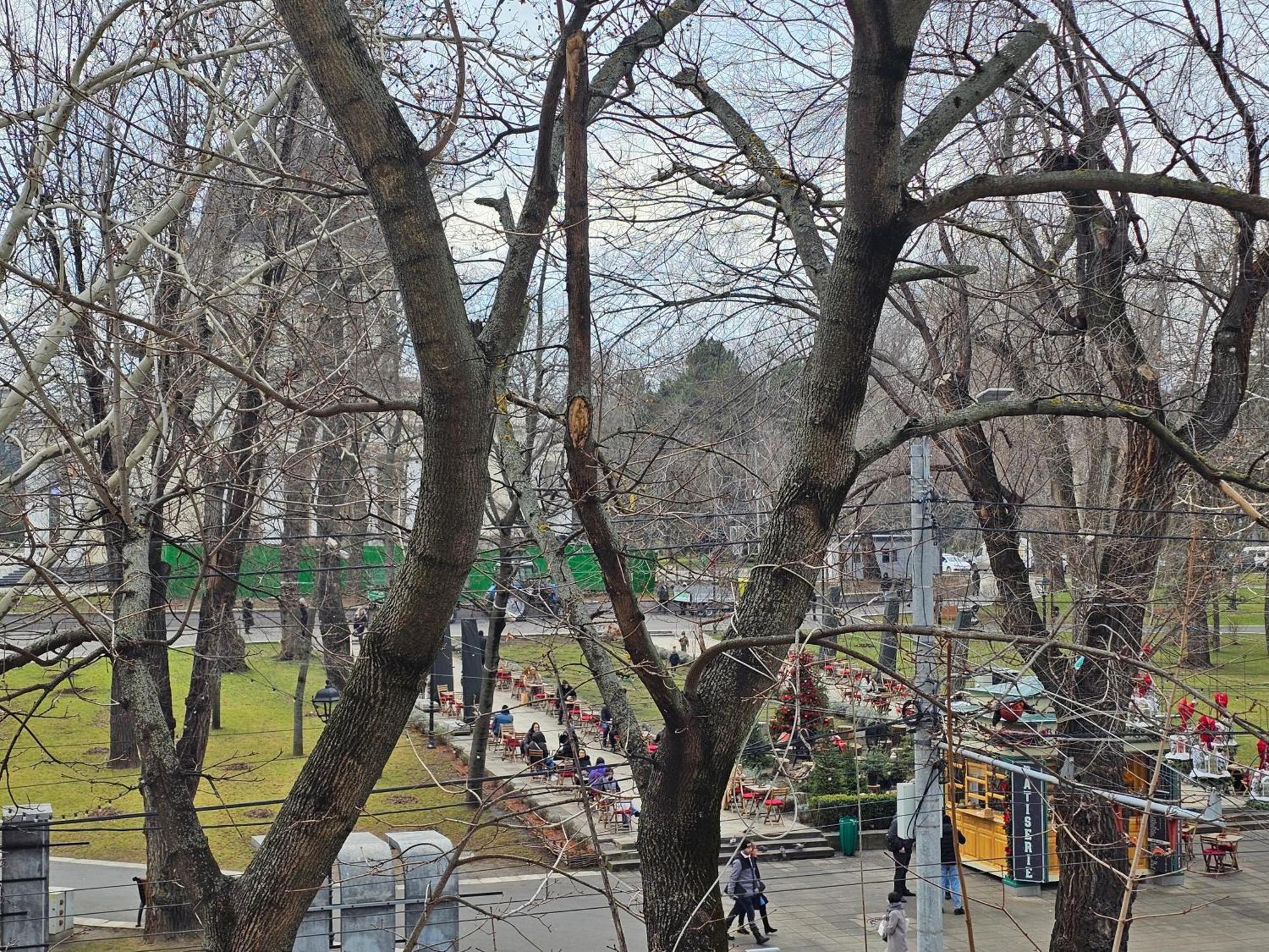 Cathedral Park&Pedestrian Zone Apartment! Кишинів Екстер'єр фото